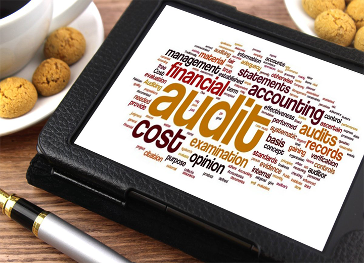 odoo-for-audit-firms